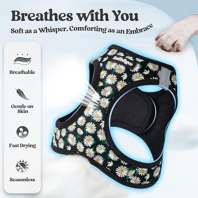 rabbitgoo Dog Harness Small Sized and Leash Set, Step-in Puppy Pet Vest | Light, Soft, Breathable Air Mesh, Easy on and Remove with Hook & Loop, Secure Reflective for Walking, Midnight Daisy S - Image 4