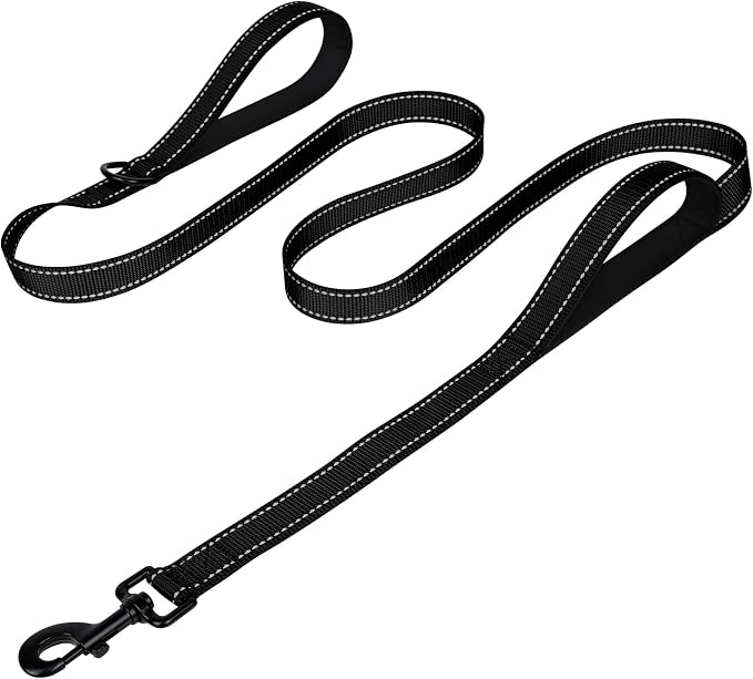 Joytale Dog Leash for Large Dogs that Pull, Double Handle, 6FT, Black | Traffic Handle for Control, Padded Handle Reduces Hand Strain, Reflective Stitching for Night Safety, Strong Nylon Webbing by Joytale