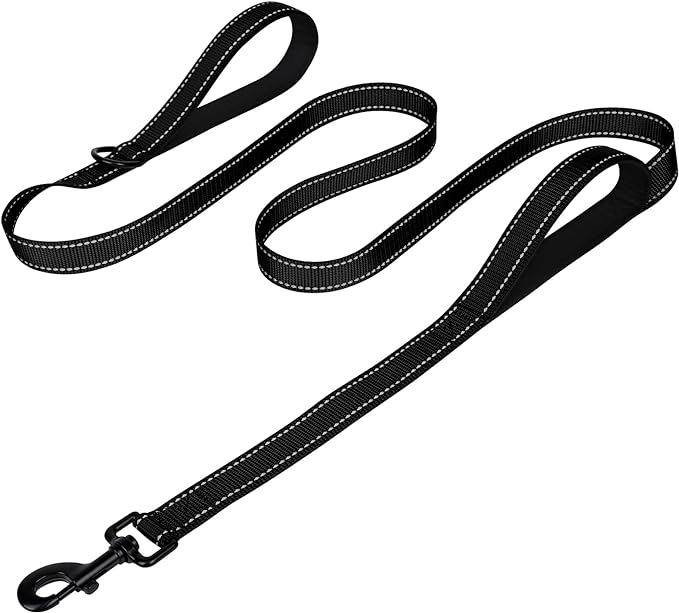 Joytale Dog Leash for Large Dogs that Pull, Double Handle, 5FT, Black | Traffic Handle for Control, Padded Handle Reduces Hand Strain, Reflective Stitching for Night Safety, Strong Nylon Webbing by Joytale