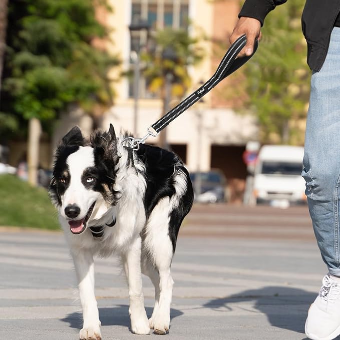 PUPTECK Reflective Short Dog Leashes 3 Pack for Walking and Training | Heavy Duty Clip with Soft Padded Handle for Medium Large Dogs Traffic Control - Image 7