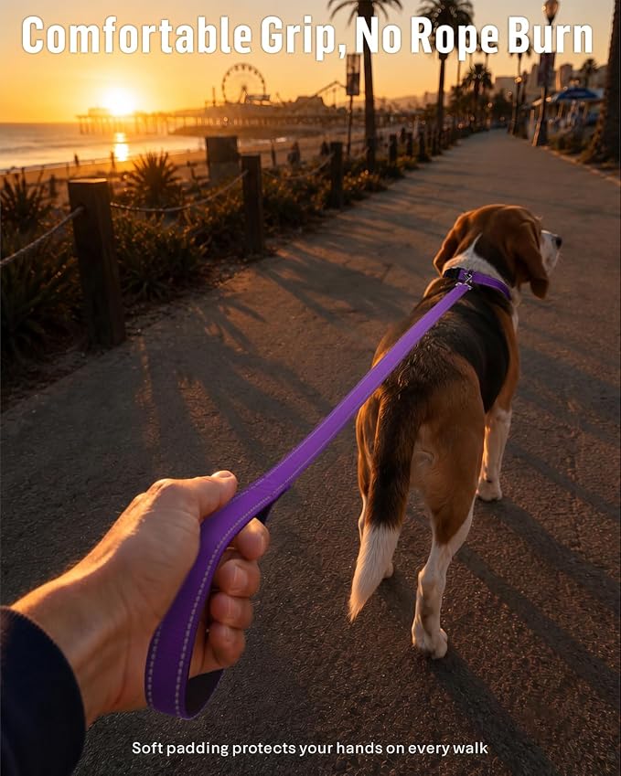 FunTags Reflective Nylon Dog Leash for Small & Medium Dogs, 6FT for Walks | Comfortable Padded Grip, Stay Safe at Night, 360° Anti-Tangle Swivel, for Dog Parks & Trails, Purple - Image 2