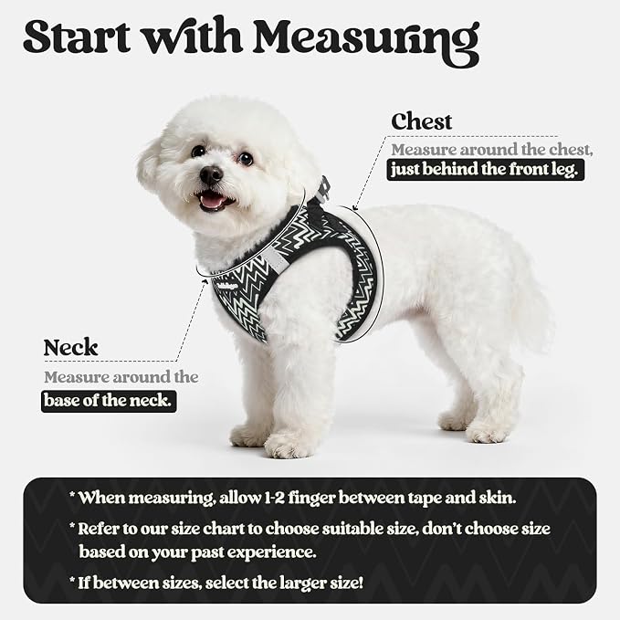 rabbitgoo Dog Harness Small Sized and Leash Set, Step-in Puppy Pet Vest | Light, Soft, Breathable Air Mesh, Easy on and Remove with Hook & Loop, Secure Reflective for Walking, Black Zigzag S - Image 2