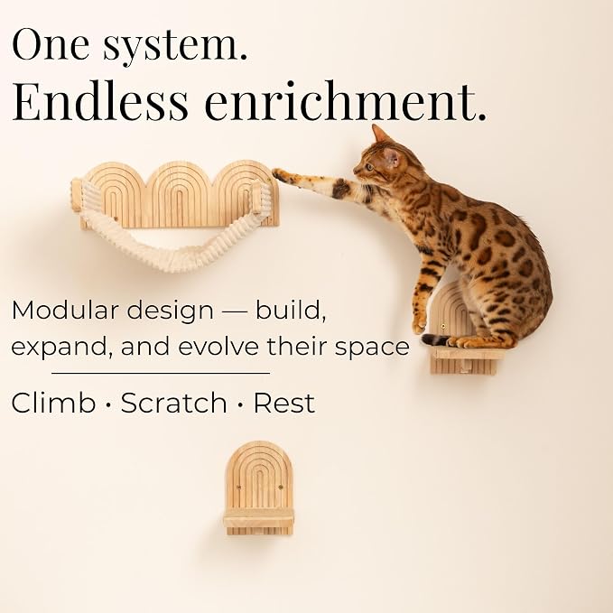 Wall Mounted Cat Hammock Bed with Steps - Wooden Wall Shelf for Cats - Paintable Natural Rubberwood - The Perfect Perch for Cats & Kittens - Image 8