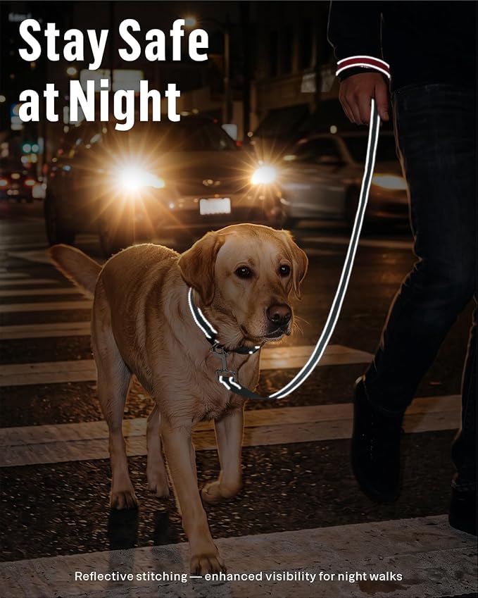 FunTags Reflective Nylon Dog Leash for Medium & Large Dogs, 6FT for Walks | Comfortable Padded Grip, Stay Safe at Night, 360° Anti-Tangle Swivel, for Dog Parks & Trails, Grey - Image 3