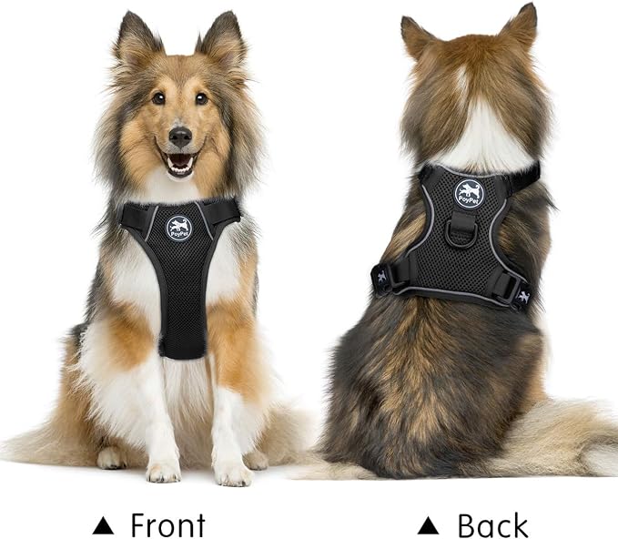 PoyPet Mesh Dog Harness, Reflective Breathable Puppy Vest for Medium Dogs | Lightweight, Soft Air Mesh, Back D-ring, Adjustable, Comfortable, Double Padded, No Choke, for Daily Walking, M, Black - Image 2