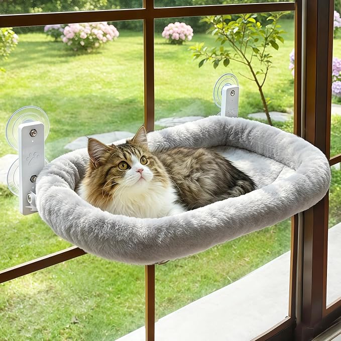 AMOSIJOY Cordless Cat Window Perch, Cat Hammock for Wall with 4 Strong Suction Cups, Solid Metal Frame and Two Replaceable Covers, Foldable Cat Beds for Indoor Cats (Large-Cushion Bed-Gray) by AMOSIJOY