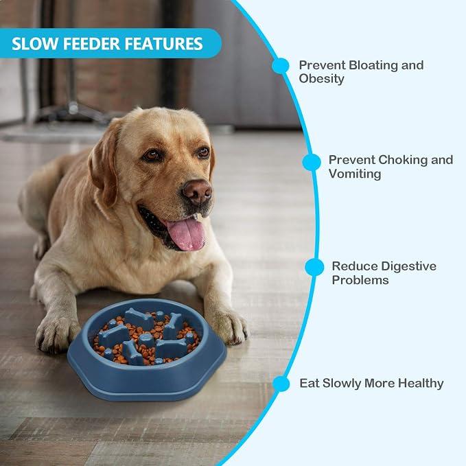 UPSKY Slow Feeder Dog Bowl Anti-Chocking Slower Feeding Pet Puzzle Bowls | Interactive Bloat Stop Dog Food Dishes, Non-Slide Dogs Lick Treat for Small Medium, Slow-Eating Maze Design, Easy to Clean - Image 7