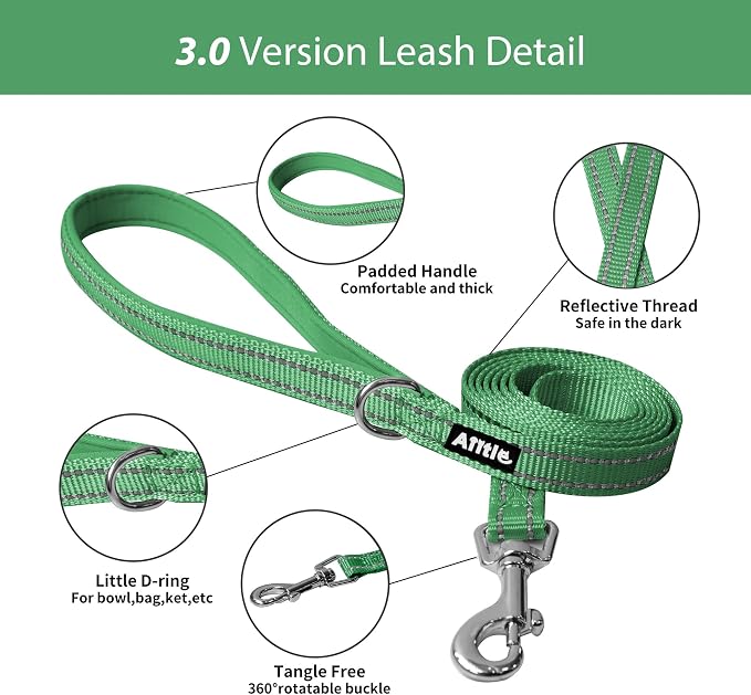 AIITLE Small Dog Harness and Leash Set, Step-in Puppy Pet Vest, Green XS | Light, Soft, Breathable Air Mesh, Escape-Proof, Easy on and Remove with Hook & Loop, Secure Reflective for Walking - Image 7