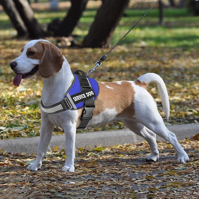 JSXD Dog Harness,No-Pull Service Dog Harness with Handle Adjustable Outdoor Pet Dog Vest 3M Reflective Nylon Material Vest for Breeds,Easy Control for Small Medium Large Dogs - Image 7
