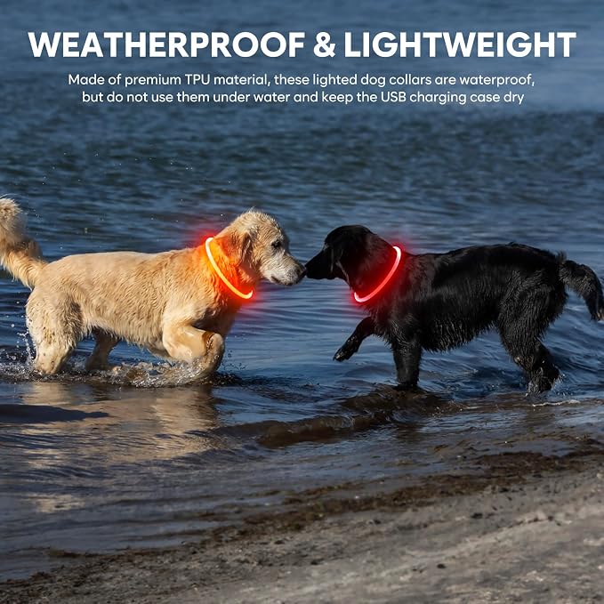 Led Dog Collar - Waterproof Lighted Doggie Collars for Night Rechargeable, High Visibility TPU Cuttable Lighted Pet Collar (Red) - Image 9