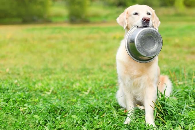 2-Pack Stainless Steel Dog Bowls 8 Cups Pet Food & Water Dish | (1.9L) Durable Metal for Medium to Large Dogs – Rust Resistant - Image 6
