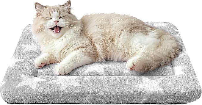 Dog Bed Mat – Soft & Comfortable Dog Kennel Pad for Crate – Durable Crate Bed & Mat for Dogs & Cats – Ideal for Crate, Kennel, and Home Use (Big&Little Stars Grey, XS(18"*14"*1.5")) by %E7%AB%8B%E5%8D%B3%E8%B4%AD%E4%B9%B0