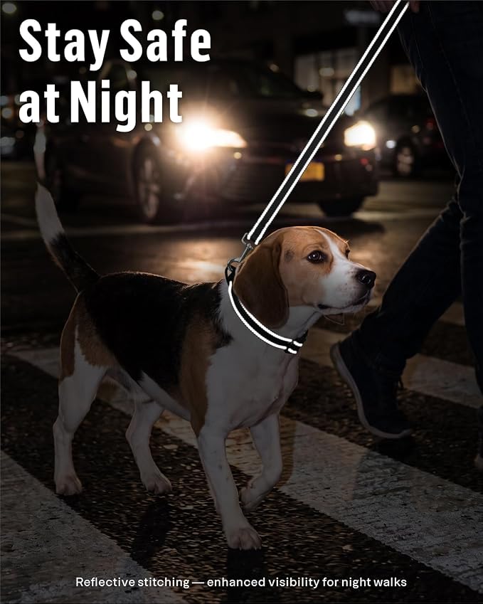 FunTags Reflective Nylon Dog Leash for Small & Medium Dogs, 4FT Training | Comfortable Padded Grip, Stay Safe at Night, 360° Anti-Tangle Swivel, for Dog Parks & Trails, Black - Image 3
