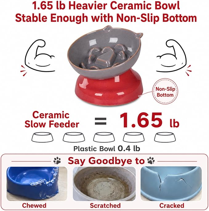 Ceramic Slow Feeder Cat Bowl, 15-Degree Tilted Non-Slip | Food-Grade Ceramic For Indoor Cats, 5.3 In Shallow Bowl, Whisker-Friendly, Dry And Wet Food, Dishwasher Safe - Image 5