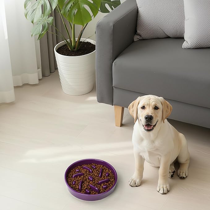 Ceramic Slow Feeder Dog Bowl, 2 Cups Maze Puzzle Dish to Slow Down Eating | Premium Ceramic Material with Anti-Slip Design, Suitable for Small, Medium and Large Breed Dogs Daily Feeding - Image 8