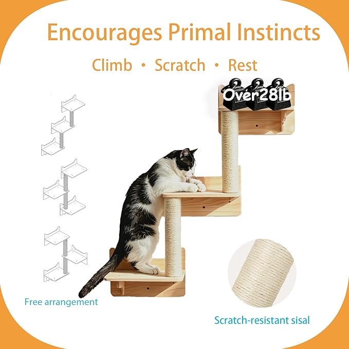 Cat Wall Shelves, 9-Piece Cat Wall Furniture for Large Cats | Solid pine wall mounted cat furniture with cat house, cat climbing shelves, ladder and sisal scratching posts for indoor cats - Image 4