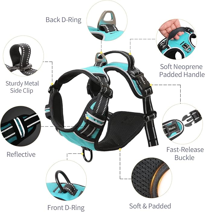 HEELE Dog Harness, No Pull Adjustable Padded Reflective Harness for Small Medium Large Dogs with Handle for Walking Training, Turquoise, XL | Reflective Front Clip Vest with Control Handle, No Choke, Adjustable 2 Metal Rings for Outdoor Walking Training - Image 2