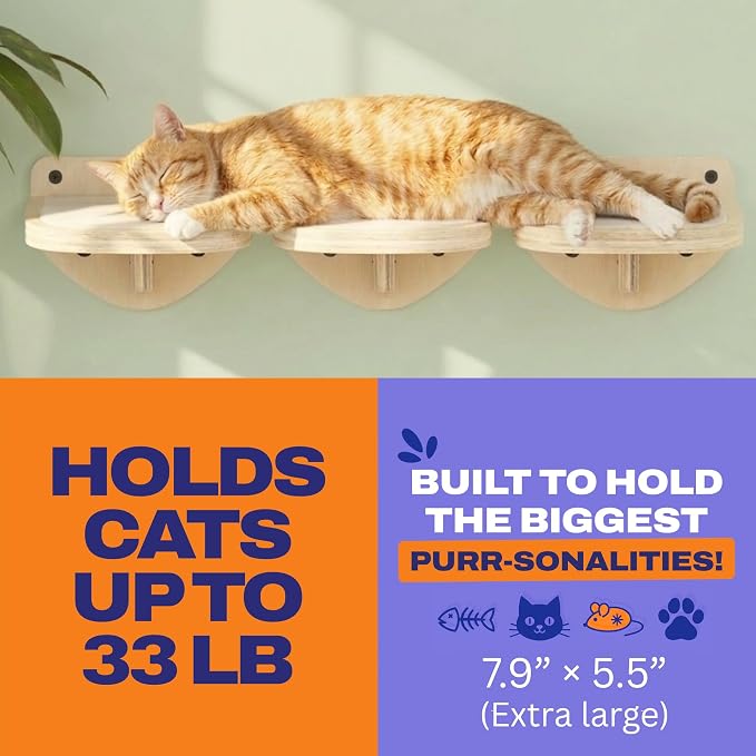 Cat Wall Shelves, Natural Floating Cat Steps Set of 3 - Image 3