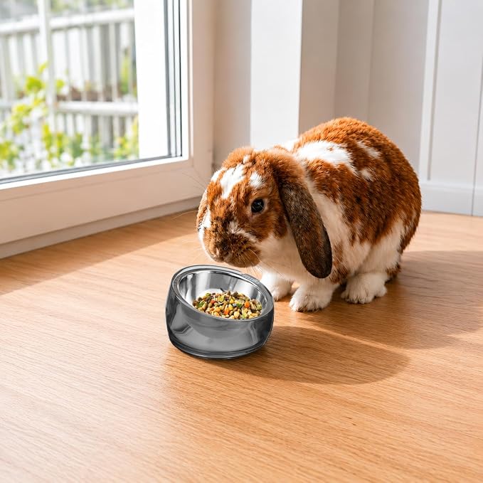 Felli Oblik 15° Tilted Small Animal Bowls for Pet Food & Water 6 oz Stainless Steel Dish Removable, Slanted Metal Plate Feeder for Kitten Puppy Rabbit Bunny Guinchilla Pig (0.75 Cups, Smoky) - Image 9