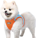 rabbitgoo Step-in Small Dog Harness, Puppy Vest for Small Sized Pet | Easy Put on and off, Lightweight, Soft, Breathable Quick-Dry Air Mesh for Comfortable Secure Walking, Blue & Orange S by rabbitgoo
