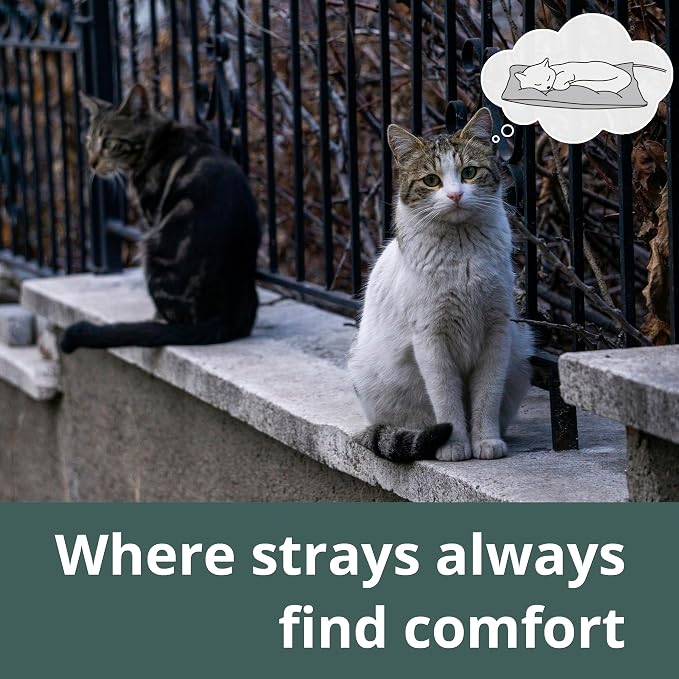 Outdoor Cat Heating Pad, 15.7" x 11.8", 30W, Green | Water-Resistant Bottom, Adjustable Cushion Loft, Auto Temperature Control, Ideal for Feral Cats, Kittens, Small Cat Houses - Image 6