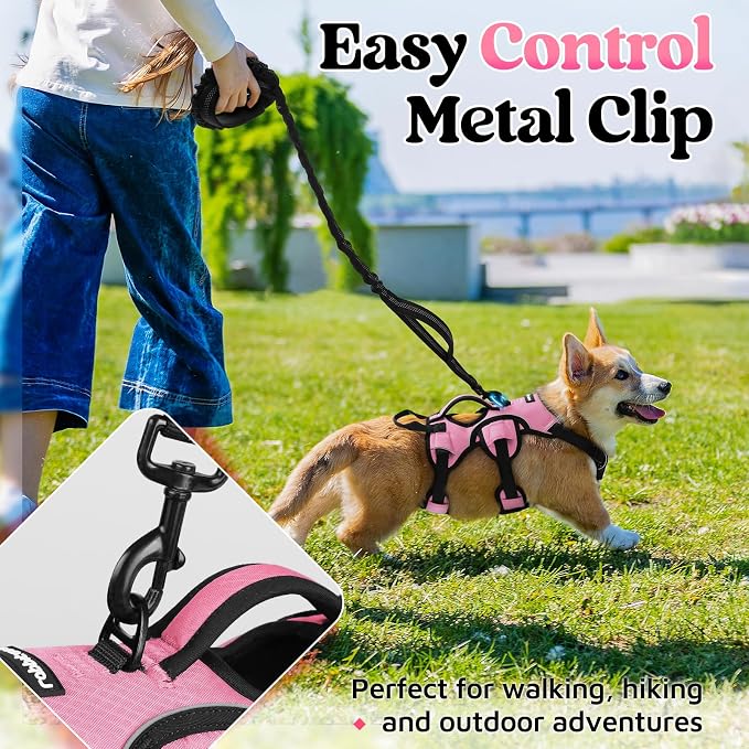 rabbitgoo Escape Proof Dog Harness for Small, No Pull with Lift Handle | No Escape, Full Soft Padded, Reflective Adjustable Vest, Leash Clip for Walking Hiking Training, Pink, Small - Image 5