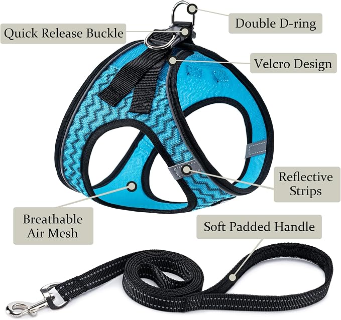 Dog Harness with Leash Set, Step-in Adjustable Puppy Pet Vest,Blue Stripe L | Lightweight Breathable Air Mesh, Night Safety Reflective, No Pull Puppy Vest Harnesses for Small Medium Large Dogs, Cats - Image 2