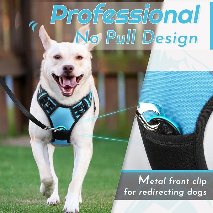 Eagloo Dog Harness for Large Dogs, No Pull Pet Vest with 2 Leash Clips | No Choke with Handle, Adjustable Comfort Fit, Reflective Strips, Easy Walking Control, Sky Blue, Large - Image 2