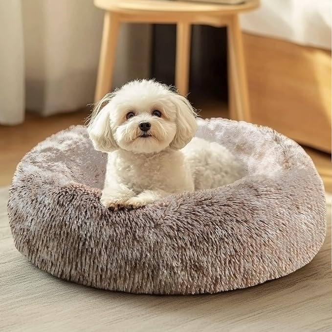 JOLLYVOGUE Dog & Cat Bed, Calming Anti-Anxiety Pet Bed for Small Dogs, Fluffy Donut Cushion for Small and Medium Pets (20") by JOLLYVOGUE