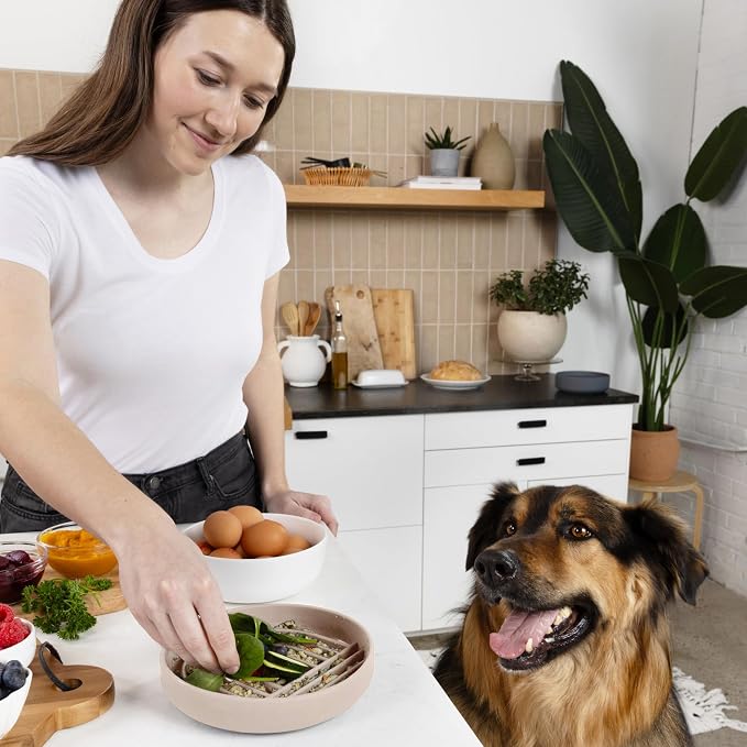 Should We Go? Slow Feeder Dog Bowls - Medium Size Silicone Slow Eating Dog Bowl for Puppies & Dogs with Suction Cup -Dishwasher-Safe, Lick Mat Design, Reduces Gulping,for All Breeds,7.5”x1.5”- Sand - Image 6