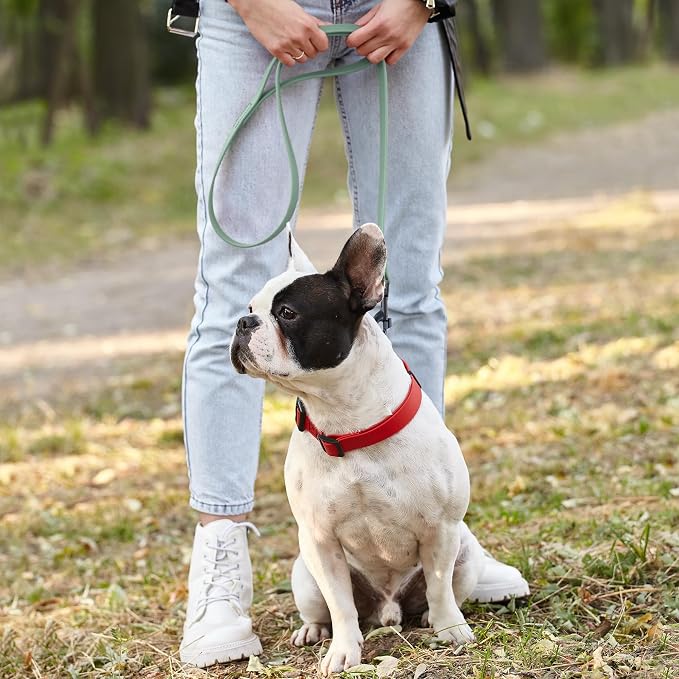 Dogline Biothane Waterproof Dog Leash Strong Coated Nylon Webbing with Black Hardware Odor-Proof Easy to Clean High Performance for Small or Large Dogs Made in USA 4 or 6 ft Lead, Sage Green - Image 8