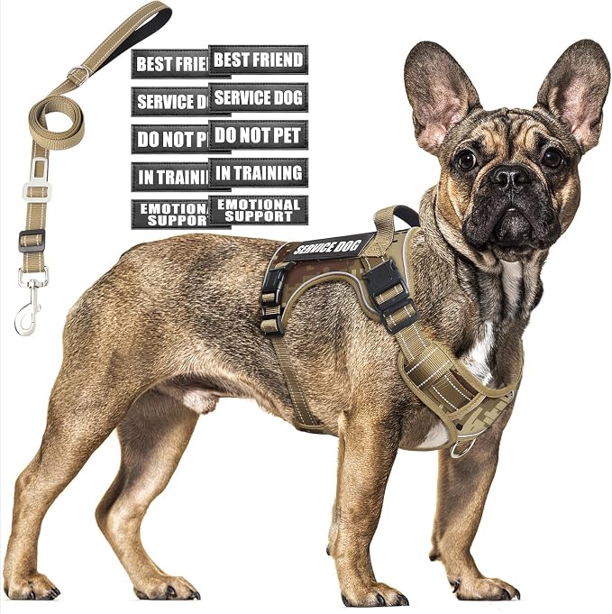 Tactical Dog Harness and Leash Set with 10 Patches for Medium Dogs | Heavy Duty No Pull Service Animal Dog Vest with Dog Seat Belt ,Adjustable Reflective Easy Walk for Training Hiking Camo M by MOOGROUPETSFRIEND