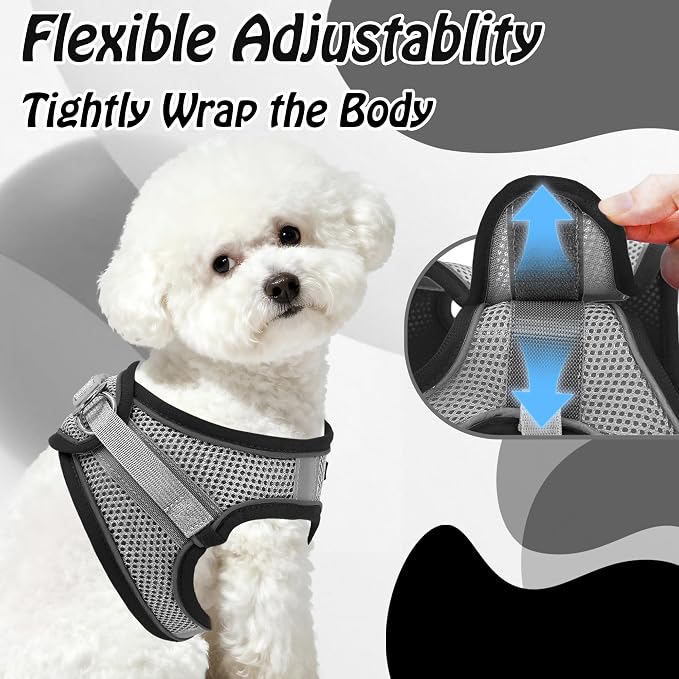 AIITLE Medium Dog Harness and Leash Set, Step-in Puppy Pet Vest, Black XL | Breathable Mesh, Adjustable Fit, Reflective Design, Padded Leash Handle, for Small-Medium Dogs & Cats, Walking, Training - Image 8