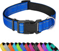 Reflective Dog Collar, Adjustable Soft Neoprene Padded,Navy Blue,S | Breathable Nylon for Small Dogs,Tear-Resistant Webbing,Chafe‑Free on Walks and Hikes,Metal D-Ring,Night Safety by PWOD
