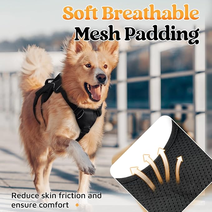 rabbitgoo Escape Proof Dog Harness for Medium, No Pull with Lift Handle | No Escape, Full Soft Padded, Reflective Adjustable Vest, Leash Clip for Walking Hiking Training, Black, Medium - Image 7