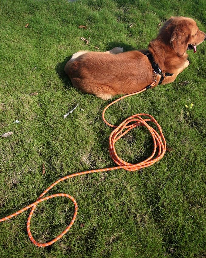 Long & Heavy Duty Dog Leash for Large, Medium & Small Dogs - Reflective Threads Rope Check Cord, 16FT/30FT/50FT/100FT for Training, Walking, Playing, Camping & Yard - Image 8