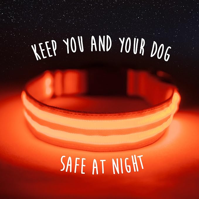 Mighty Paw LED Dog Collar - USB Rechargeable LED - High Visibility Glow Pet Strips - Weather Resistant - 3 Bright Light Modes for Nighttime Dog Safety - Collar USB (S, Orange) - Image 2