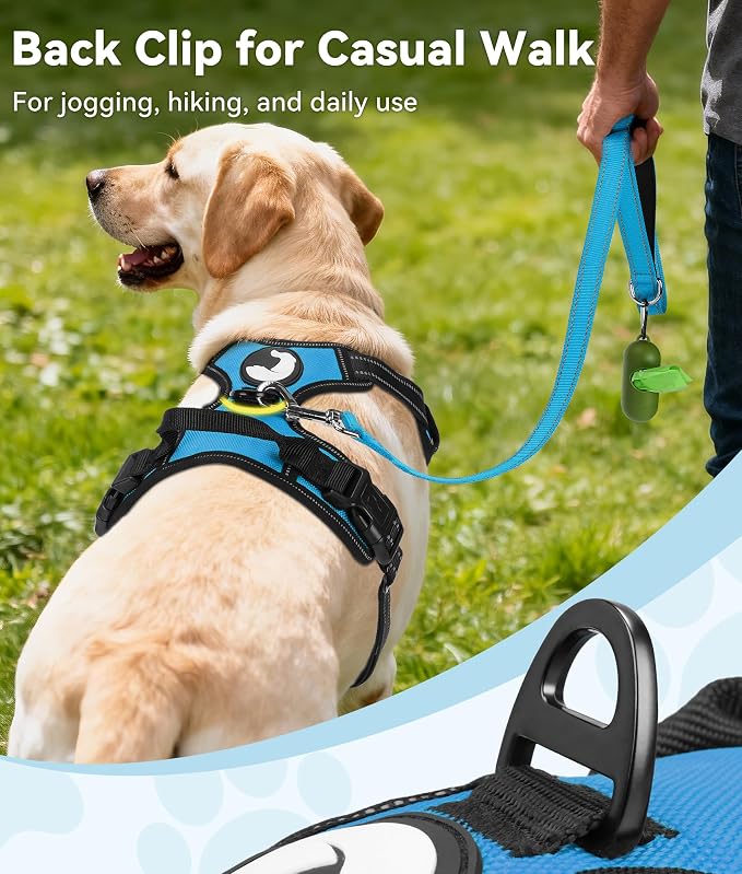 Joytale No Pull Dog Harness for Small Dogs, Front Clip, Sky Blue | Grab Handle for Instant Control, Padded & Adjustable Vest, Sturdy Metal D-Rings, for Safe Training & Daily Walking - Image 4