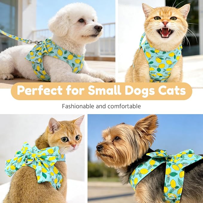 BAEJMJK Dog Harness and Leash Set with Bow Knot No Pull Pet Daisy Floral Harness with D-Ring Soft Mesh Dog Harness Vest Set Escape Proof Princess Puppy Harness for Small Girl Dogs Cats（Green M） - Image 8