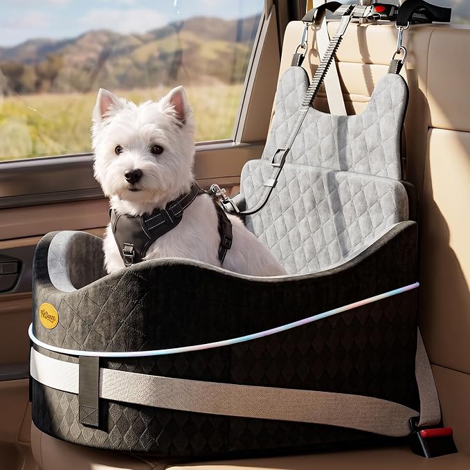 PetDance Dog Car Seat【Strength-Built for Small/Medium Dogs】 Up to 40lbs | High‑Density Springy Foam Pet Car Seat, 2-In-1 Reversible Cushion, 30% Extra Spacious, Anti-Slip Base, Detachable & Washable by PetDance