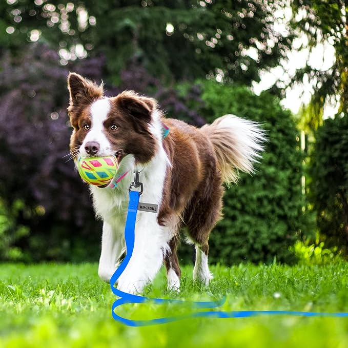 Wolfone Waterproof Dog Leash 20FT Long Line Recall Training Lead | Long Dog Lead PVC coated waterproof leash with easy clean surface strong training rope for recall hiking and beach trips - Image 6