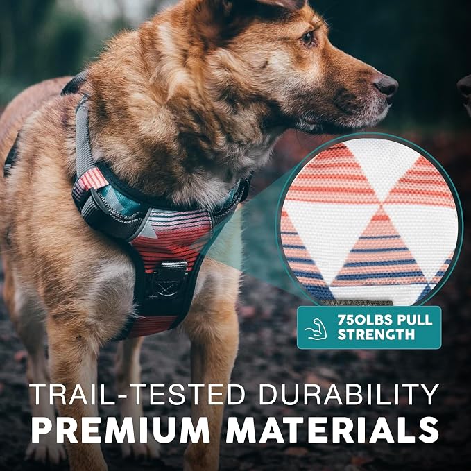 Embark No Pull Dog Harness, Reflective Adjustable Training Vest, No Choke | Adjustable straps fit all dog breeds with sturdy hooks; 360° reflective trim, soft padded Harness Design for All Dogs - Image 5