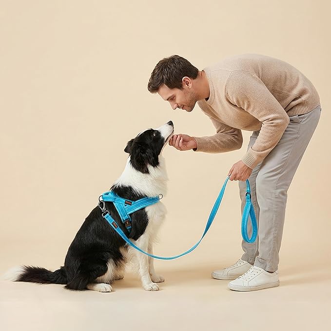 Didog 6FT Reflective Dog Leash for Medium Large Dogs, Slim 3/4" Width, Blue | Soft Padded Handle, Plush Comfort Grip, Tangle-Free, 360°Heavy-Duty Strengthened Clasp for Daily Walks/Training, Night Safety - Image 3