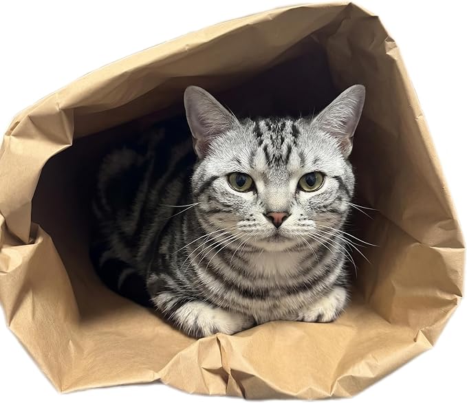 Durable Kraft Paper Cat Tunnel Bag, Extra Large Crinkle Sack for Indoor Cats & Kittens, 29.5" Collapsible Interactive Toy for Hiding & Hunting, Fits Bunnies, Rabbits and Ferrets - Image 2