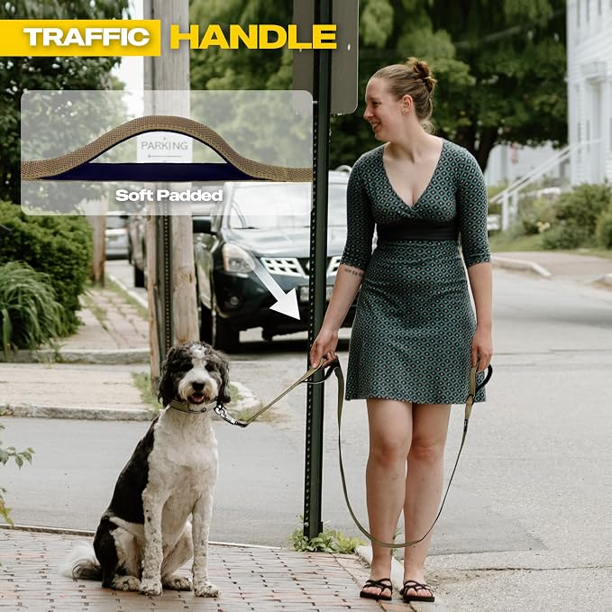Fida 10 FT Heavy Duty Dog Leash, Dual Padded Handles for Medium Large Dogs | Traffic Handle for Close Control, Advanced Easy Snap Hook, Reflective, Strong Nylon Webbing for Long Walks & Training, Brown - Image 3