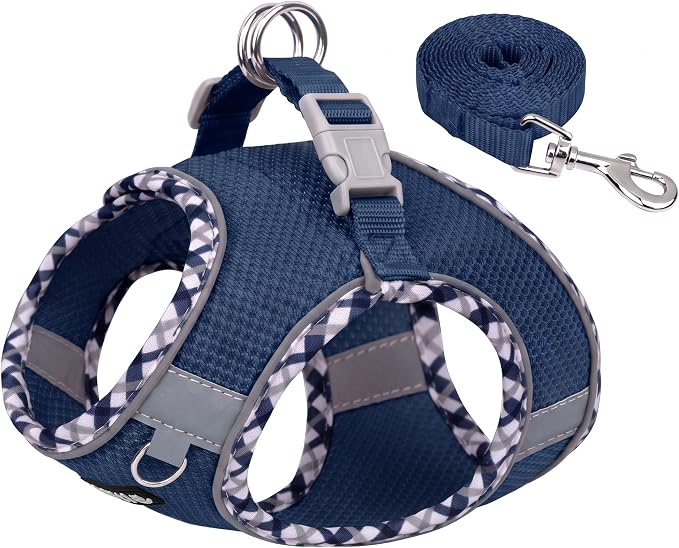 Small Dog Harness and Leash Set Strong Magic Tape, Navy-Blue, XS | No Pull Step-in Vest for Puppy, Breathable Mesh, Reflective & Escape-Proof Design, Outdoor Use for Chihuahua, Maltese by AIITLE-FORPETSBETTERLIFE