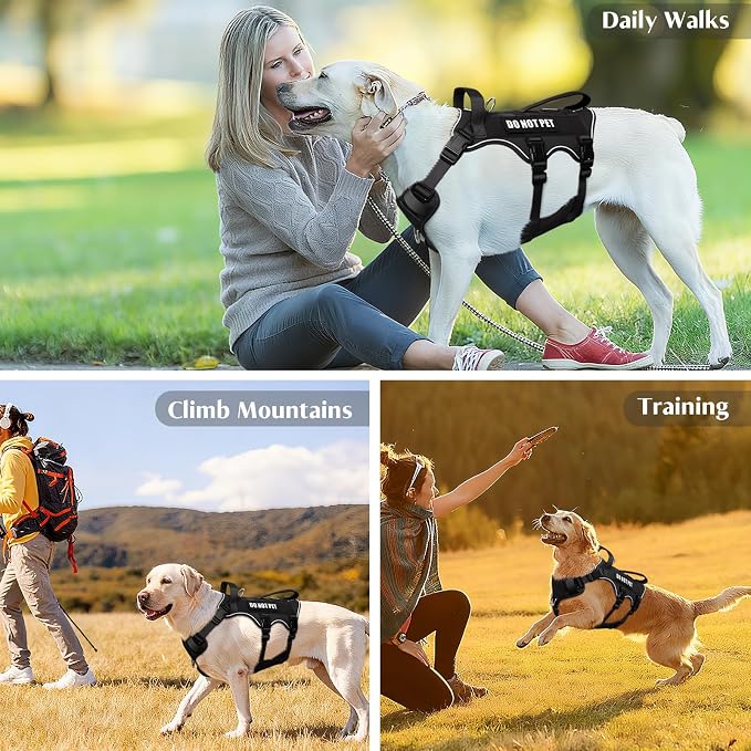 WINSEE Escape Proof Dog Harness with Double Handle+4 Removable Patches | Service Working Molle Harness with Double Handle for Large Dogs, Tactical Pet Reflective Vest for Walking Hiking Hunting - Image 9