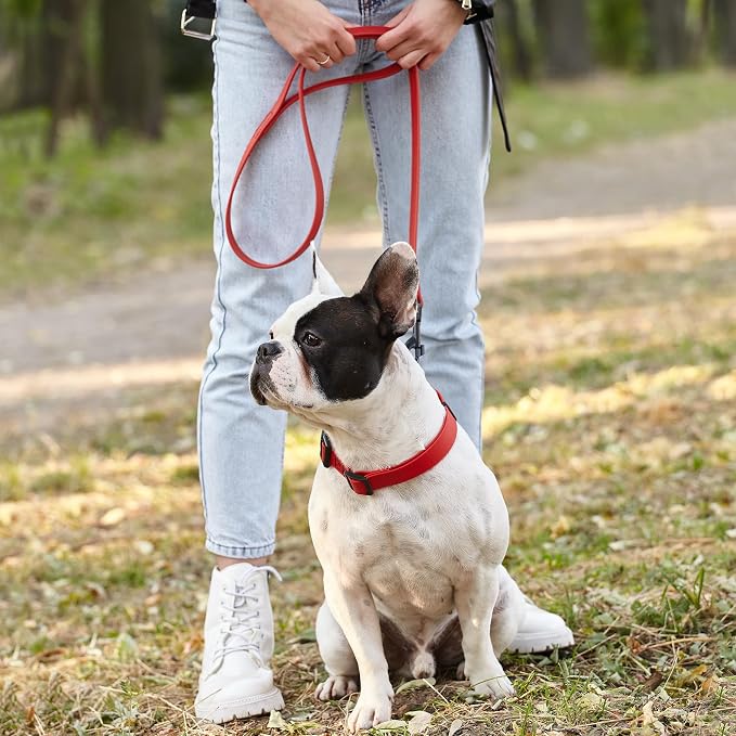 Dogline Biothane Waterproof Dog Leash Strong Coated Nylon Webbing with Black Hardware Odor-Proof Easy to Clean High Performance for Small or Large Dogs Made in USA 2 ft Lead, Cherry Red - Image 7