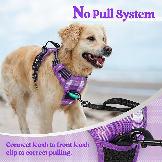 rabbitgoo Dog Harness, No Pull for Small Dogs with 2 Leash Clips, Pet Vest | No Choke with Handle, Adjustable Soft Padded, Reflective, Easy Control for Walking, Purple Plaid, Small - Image 5
