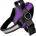 Joyride Basic Dog Harness 1.0 | Purple Majesty | L | Adjustable pet vest with 3 side leash rings for training, walking and improved control for small, medium or large dogs by JoyrideHarness